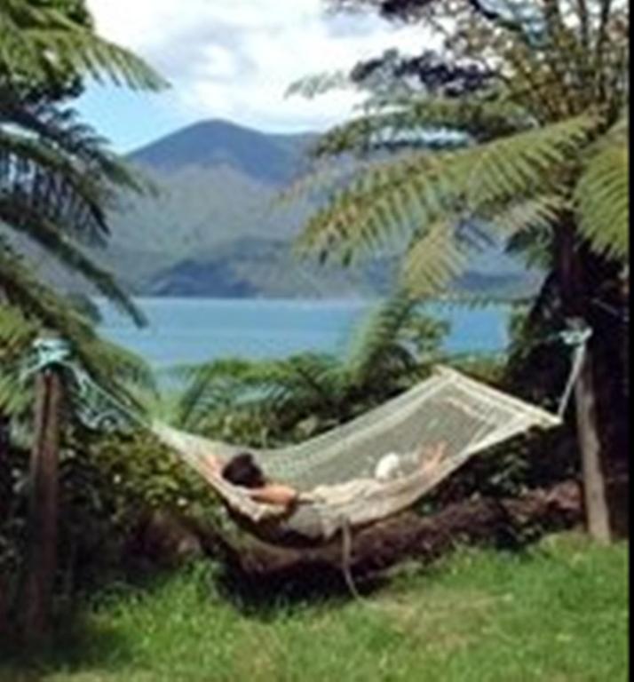 Lochmara Lodge - 20Mins By Boat From Picton Lochmara Bay Bagian luar foto