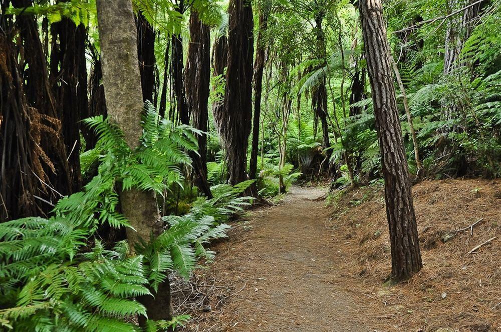 Lochmara Lodge - 20Mins By Boat From Picton Lochmara Bay Bagian luar foto