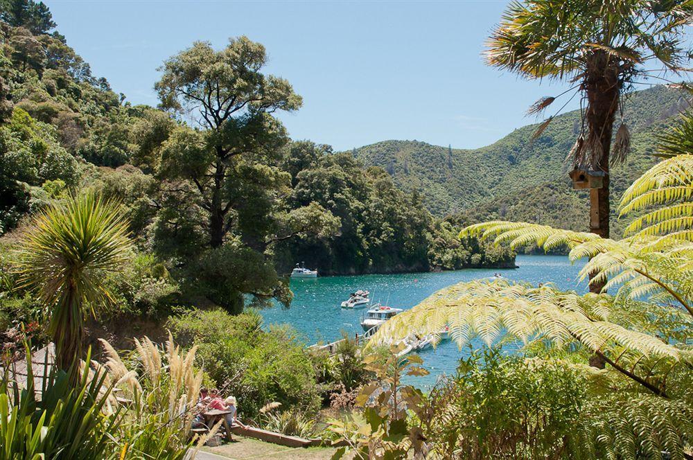 Lochmara Lodge - 20Mins By Boat From Picton Lochmara Bay Bagian luar foto