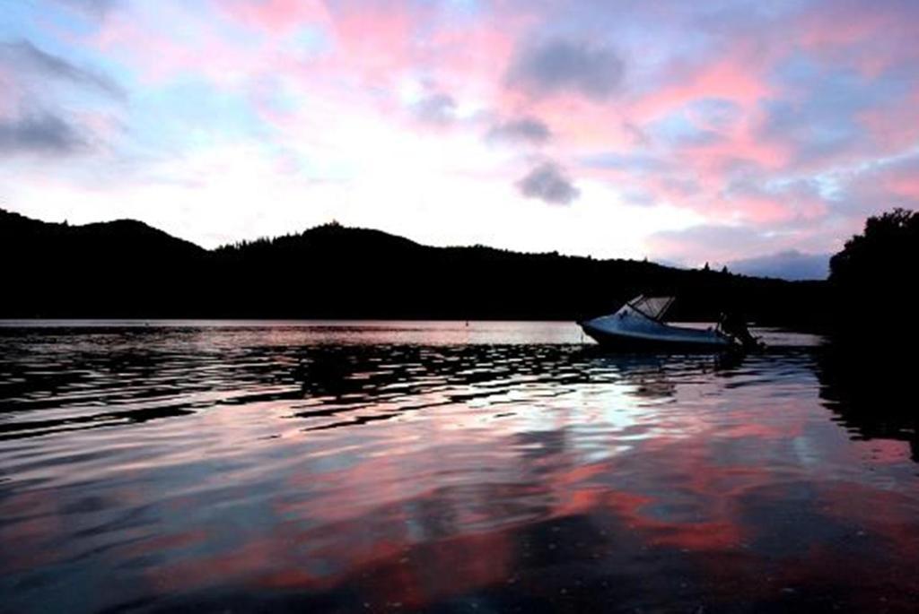 Lochmara Lodge - 20Mins By Boat From Picton Lochmara Bay Bagian luar foto