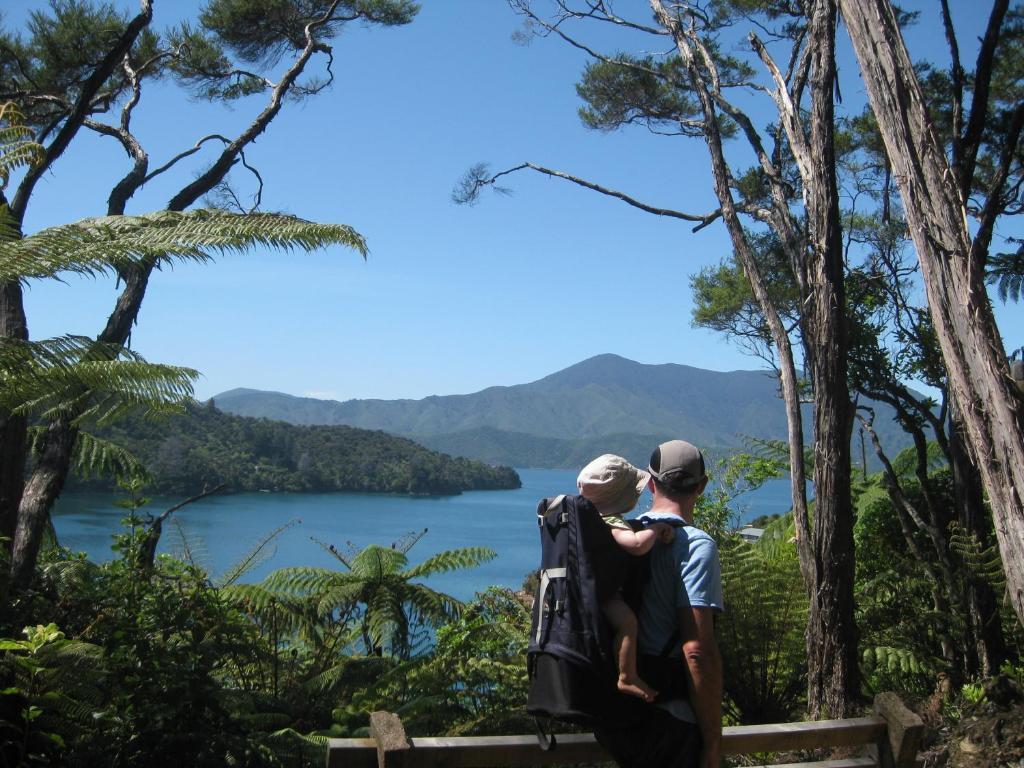 Lochmara Lodge - 20Mins By Boat From Picton Lochmara Bay Bagian luar foto